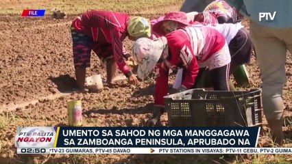 Comelec, maglulunsad ng voter education campaign sa Disyembre