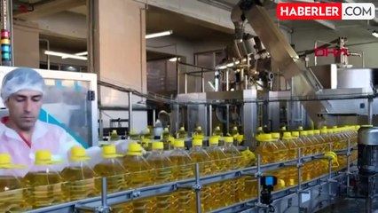 Ayçiçeği tohumunda gümrük vergileri yeniden düzenlendi