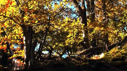 The Kellerwald Edersee National Park, Waldeck Frankenberg district - points of interest