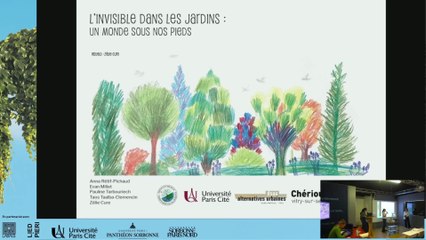 Restitution de projet L'invisible dans les jardins : Un monde sous nos pieds