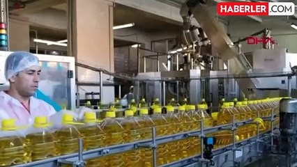 Ayçiçeği tohumunda gümrük vergileri yeniden düzenlendi