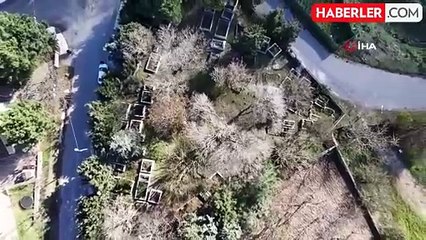 İstanbul'da ilginç olay, Eyüpsultan Belediyesi borcuna karşılık mezarlık verdi