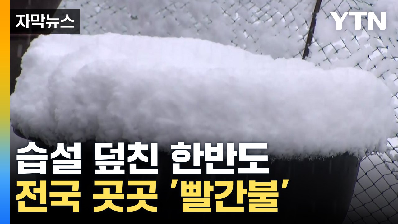 [자막뉴스] "무너지고 쓰러지고"...물기 머금은 '습설 주의보' / YTN