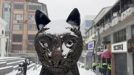 Van'da yoğun kar yağışı etkili oluyor