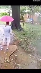 Kıl payı hayatta kaldılar