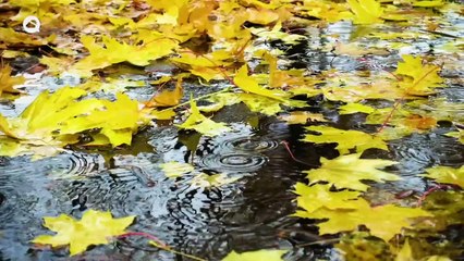 Primeras tendencias meteorológicas de Meteored para el puente de diciembre