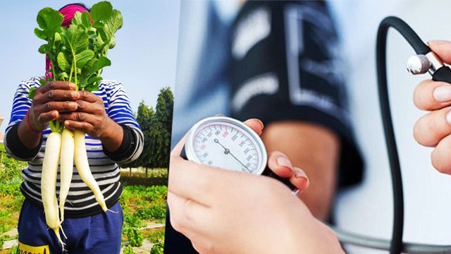Radish Benefits In Diabetes : Mooli Se Diabetes & High Bp Kaise Control Kare, Mooli Khaane Ke Fayde