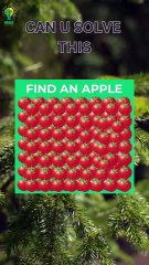 Can you guess the answer just in 5 seconds