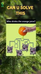 Can you guess the answer just in 5 seconds