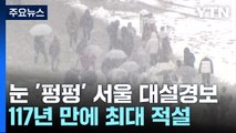 눈 '펑펑' 서울 전역 대설경보...117년 만에 최대 적설 / YTN