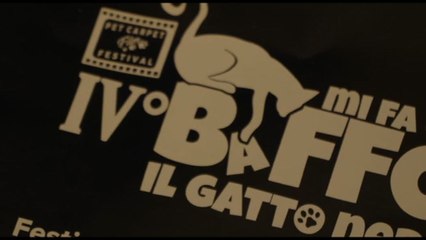 Vince l'inclusione al "Mi fa un baffo il gatto nero Festival"