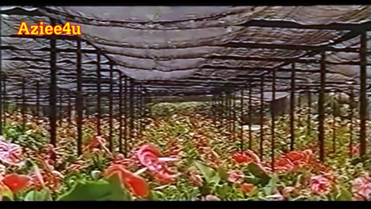 Woh Aik Hai Lakhon Main Woh Rehta Hai - Jiya Ali - Pakistani Film Deewane Tere Pyar Ke (1997) - Shazia Manzoor