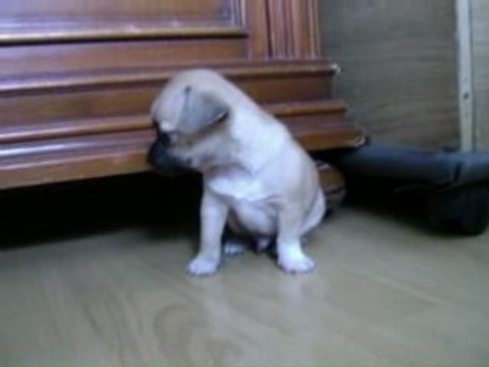 Samy