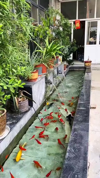 A beautiful view of fish...