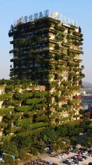 The wonderful building view...