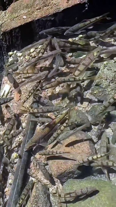 The beautiful fish view..!