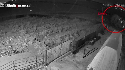 Narin'in kaybolduğu günün gecesi, Salim Güran'ın dere yatağına gittiği anların kamera görüntüsü ortaya çıktı