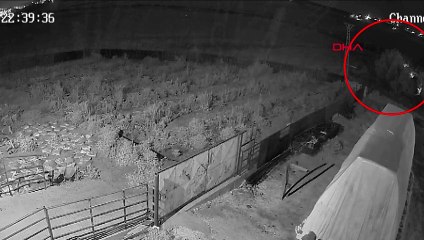 Narin Güran cinayetinde kritik gelişme! Salim Güran gece yarısı dere yatağına gitmiş