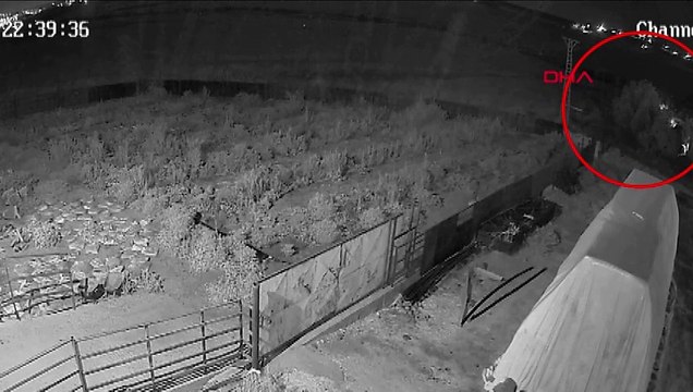 Narin Güran cinayetinde kritik gelişme! Salim Güran gece yarısı dere yatağına gitmiş