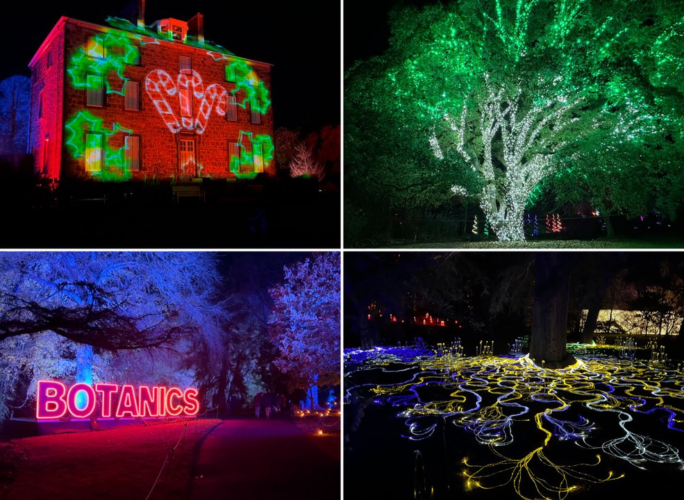 Spectacular Christmas light trail returns to Edinburgh’s Royal Botanic Gardens