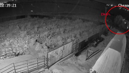 Narin Güran'ın kaybolduğu günün gecesinden şok görüntü