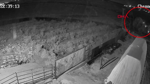 Narin Güran cinayetinde şok detay! Amca Salim Güran'ın yeni görüntüsü ortaya çıktı