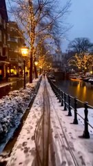 LES PLUS BEAUX spots hivernaux d’Amsterdam