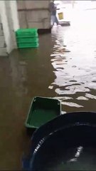 Mercado do Peixe é invadido pela água da chuva em Salvador; veja vídeo