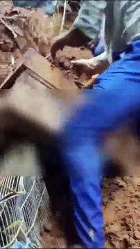 Exclusivo: Vítima é resgatada em meio a deslizamento de terra na Saramandaia