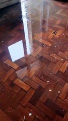 VÍDEO: Denúncia aponta falta de manutenção e alagamento em famoso prédio no centro de Salvador