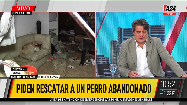 🔴 SALVEMOS A DRACO: VECINOS INTENTAN QUE LA FISCALÍA ACCIONE POR UN PERRO ABANDONADO