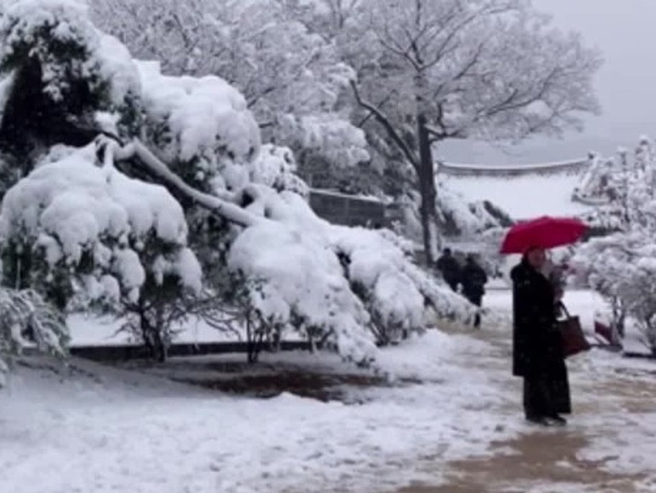 Schlimmster Schneesturm seit 100 Jahren legt Seoul lahm