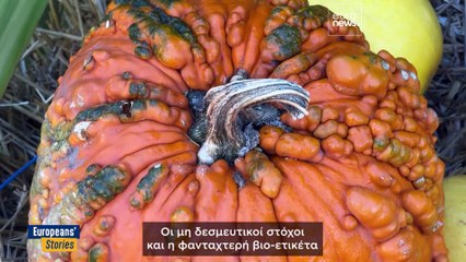 Έχουν ακόμη ελπίδα οι βιοκαλλιεργητές στην Ευρώπη;