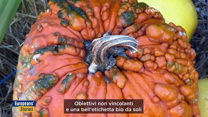 Gli agricoltori biologici hanno ancora una possibilità in Europa?