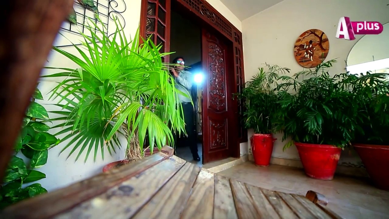 Haseena Moin Ki Kahani EP 8 - Aplus Entertainment