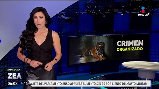 Aseguran predio en Ocoyoacac tras encontrar 33 animales exóticos