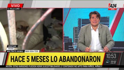 Vecinos de Villaluro luchan por salvar a Draco, el perro abandonado