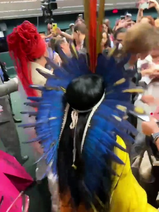 Mulheres protestam contra a PEC do Estupro em Brasília e seguranças tomam atitude drástica