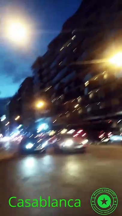 Boulevard d’Anfa L’Élégance de Casablanca