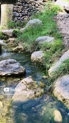 Usama Muzamil Hussain | -Outing_time 😎 | Lora Khayber Pakhtun Khawa | Pakistan | Vedios | Dailymotion