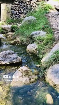 Usama Muzamil Hussain | -Outing_time 😎 | Lora Khayber Pakhtun Khawa | Pakistan | Vedios | Dailymotion