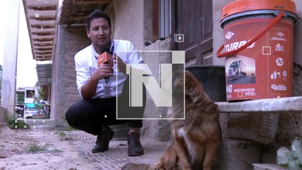 La conmovedora espera de ‘Pequeño’: El perrito que aguarda a Juan Carlos, el taxista desaparecido