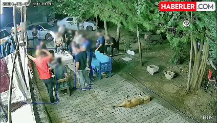 Güran ailesinin silinen kayıtlarındaki Kürtçe konuşmalar deşifre edildi: Bunu söylersen seni koruruz