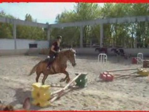 Leslie et krystal puis jaja saut d'obstacle