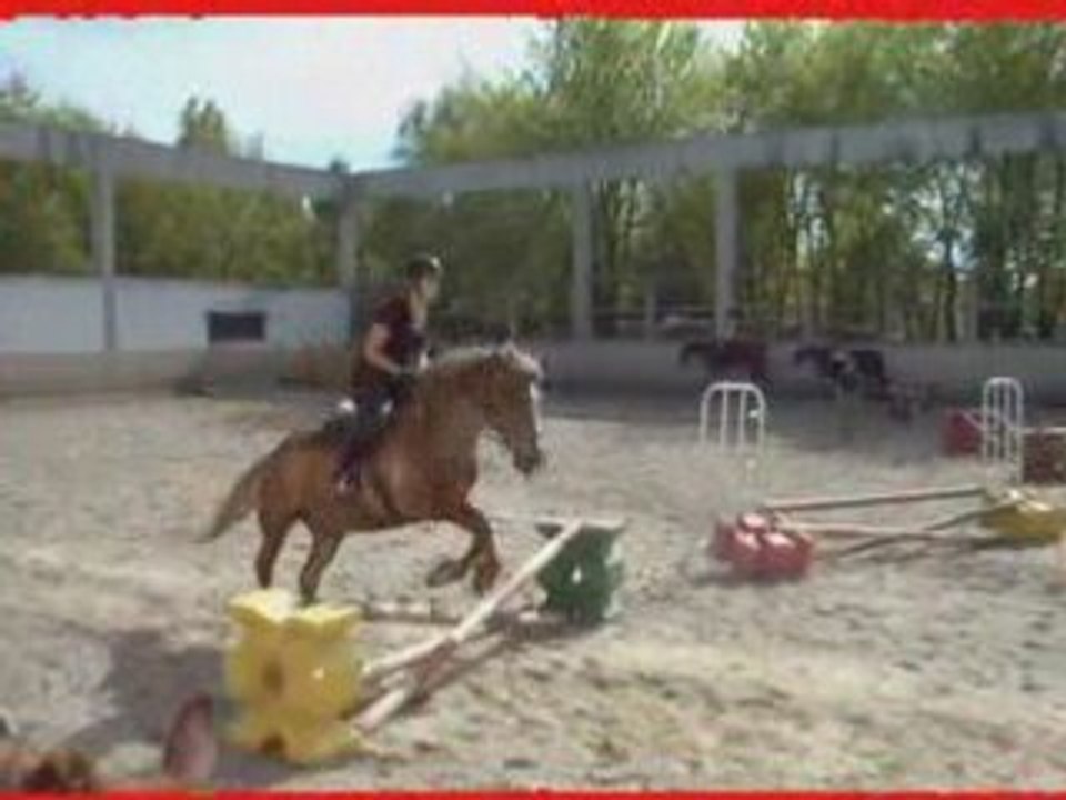 Leslie et krystal puis jaja saut d'obstacle