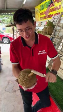 Malaysian Fresh Durian Unboxing Master - Fruit Cutting Skills