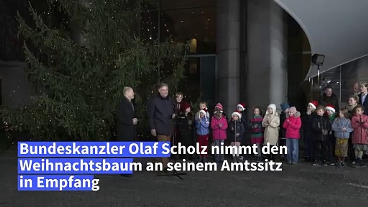 'Kanzlertanne': Kleiner Weihnachtsbaum für Olaf Scholz