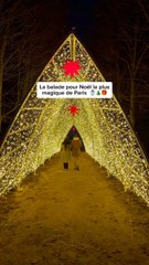 Une sortie magique à faire pour Noël à Paris cet hiver 🎄🎅