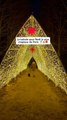 Une sortie magique à faire pour Noël à Paris cet hiver 🎄🎅