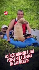 Los vecinos de San Vicente rescataron a una perrita que luchaba por no ahogarse en la laguna del lugar.